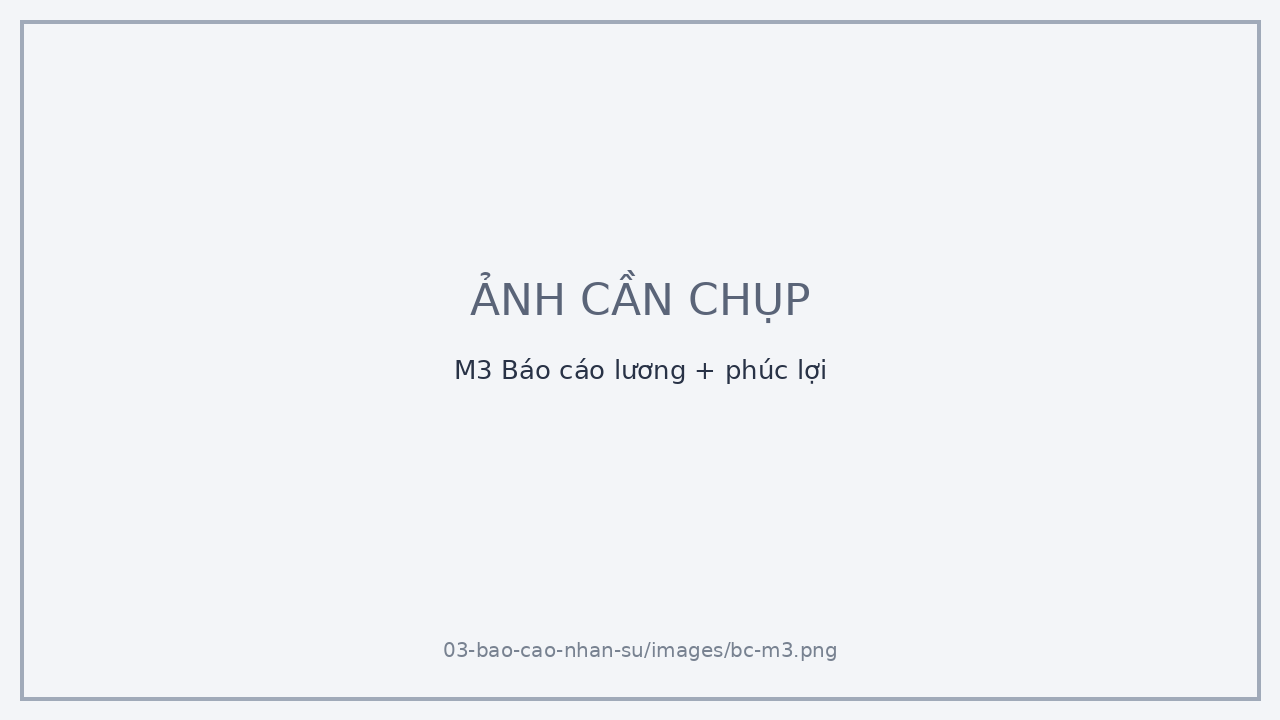 M3 Báo cáo lương + phúc lợi