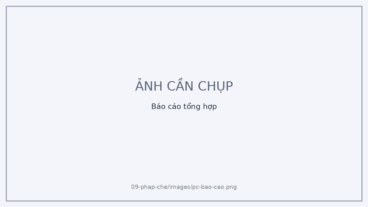 Báo cáo tổng hợp